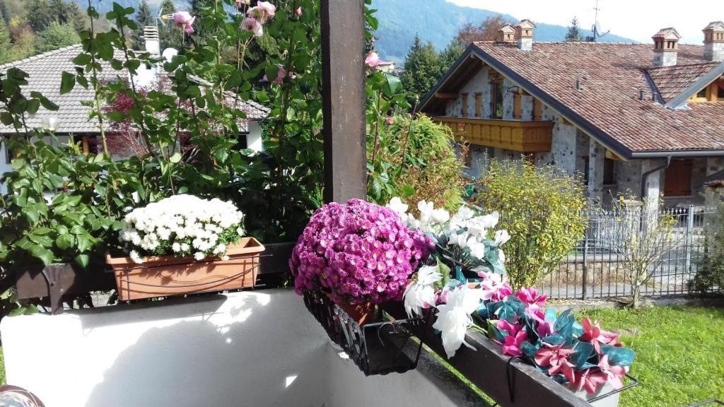 Villa Chanel 보르노 외부 사진